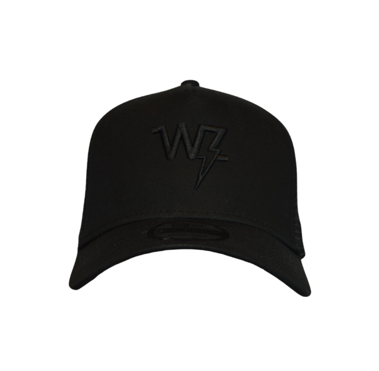 NEW Black on Black Embroidered WZ Hat